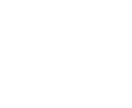 Washington University St. Louis logo